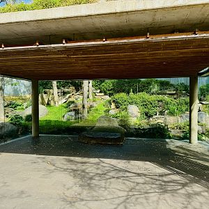 Giant panda viewing area