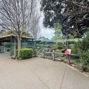 Giant panda enclosure