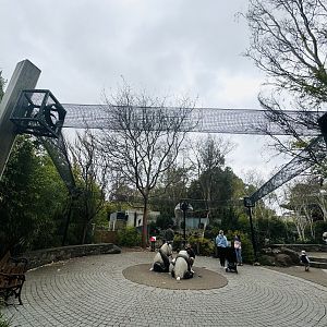 Red panda aerial pathway