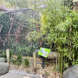 Blue and Gold Macaw aviary