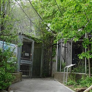 Riparian forest aviary