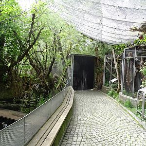 Riparian forest aviary