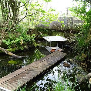 Riparian forest aviary