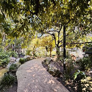 South-east Asian walkthrough aviary