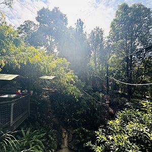 South-east Asian walkthrough aviary