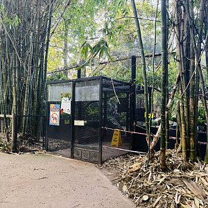 South-east Asian walkthrough aviary