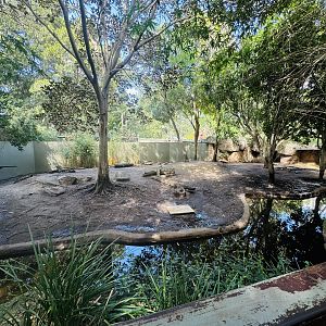 Pygmy hippo enclosure