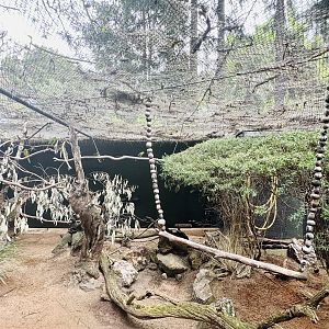 Orange-bellied parrot aviary