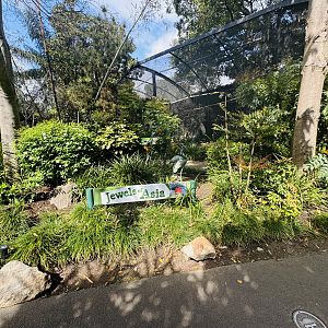 Jewels of Asia aviaries