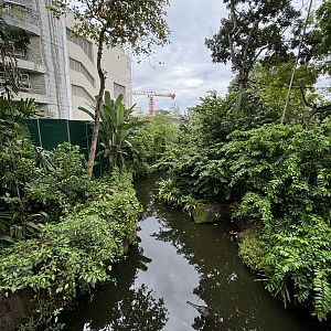False Gharial Exhibit