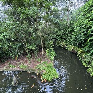 False Gharial Exhibit
