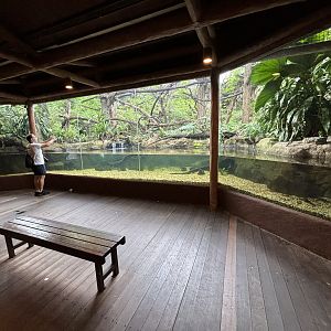 Zoo Nerd + Proboscis Monkey Exhibit