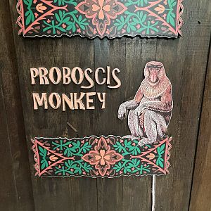 Proboscis Monkey Sign