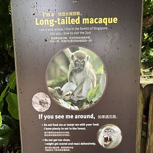 Wild Macaque Sign