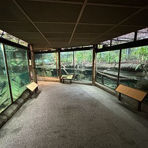 Siamese Crocodile + Chinese Alligator Exhibits