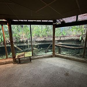 Siamese Crocodile Exhibit