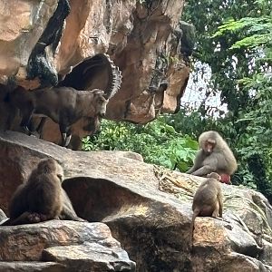 Great Rift Valley of Ethiopia