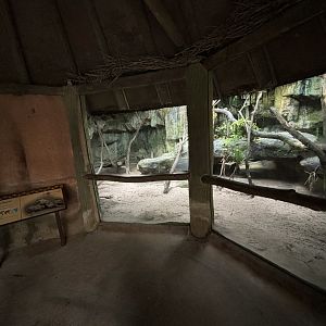 South African Ground Squirrel + Rock Hyrax Exhibit