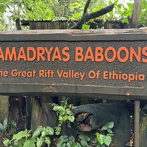 Great Rift Valley of Ethiopia - sign