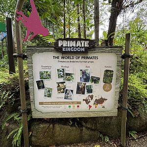 Primate Kingdom Sign
