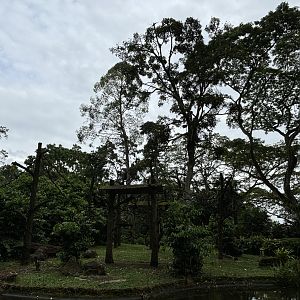 Colobus Monkey Exhibit