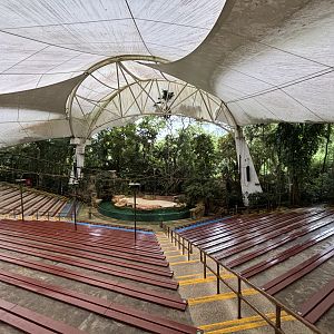 Amphitheater