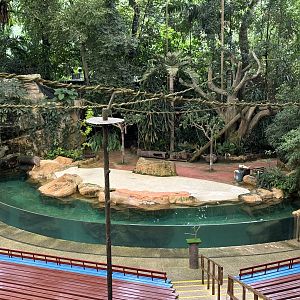 Amphitheater Show Pool