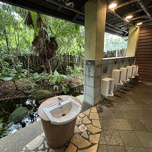 Jungle Toilets - watch out for macaques!