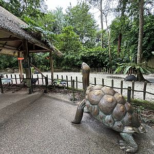 African Spurred Tortoise Exhibit