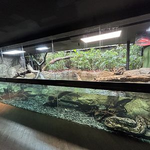 Reticulated Python Exhibit