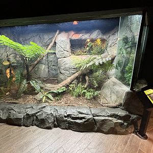 Beaded Lizard Exhibit