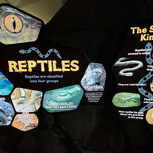 Reptile Signs - fantastic