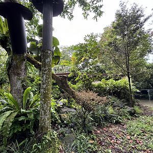 Crocodile Monitor Exhibit