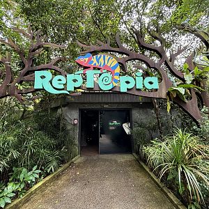 Reptopia entrance zone