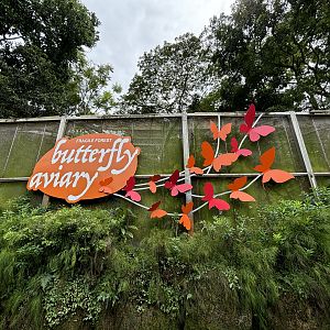 Fragile Forest - exterior