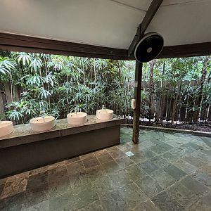 More Jungle Toilets!