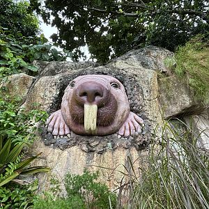 Naked Mole-Rat Statue