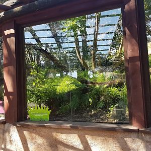 Wellington Zoo | Temporary North Island Weka Enclosure