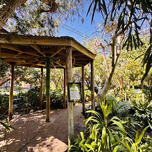 Australian rainforest aviary