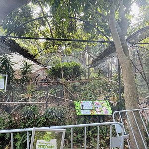 Squirrel monkey enclosure