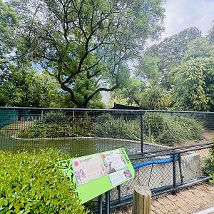 Brazilian tapir/mara enclosure