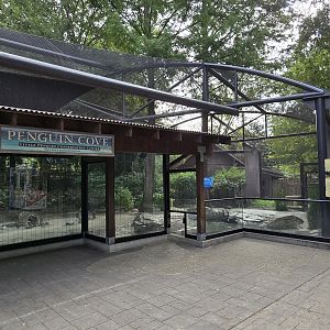 Penguin Cove (little penguins)