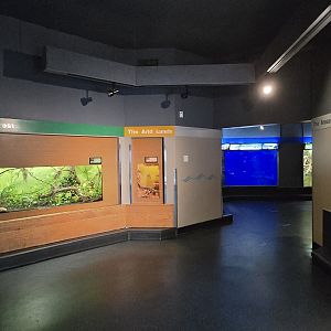 Herpaquarium - Gallery view