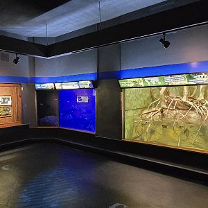 Herpaquarium - Gallery view