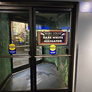 Herpaquarium - White alligator area