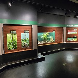 Herpaquarium - Gallery view