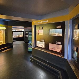 Herpaquarium - Gallery view