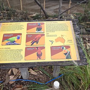 Australia - Lorikeet Landing sign
