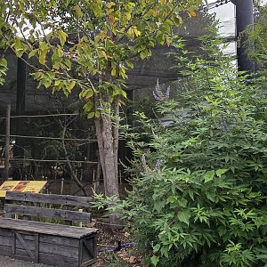 Australia - Lorikeet Landing