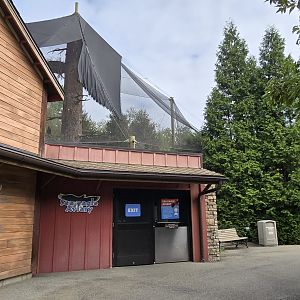 Glacier Run - Stellar's Sea Eagle aviary